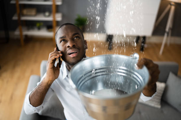 Best Water damage restoration mold remediation  in Price, UT