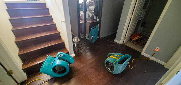 Best Professional water damage repair  in Price, UT