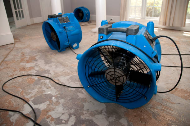 Best Mold removal after water damage  in Price, UT