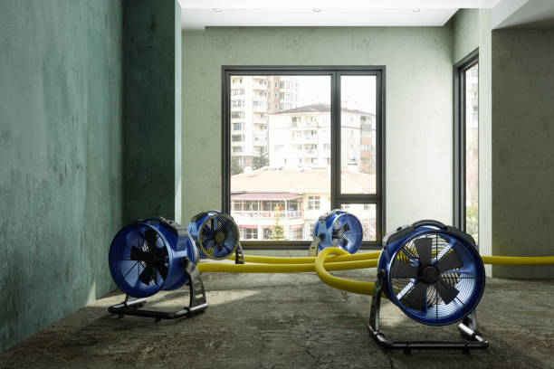Best Water damage restoration near me  in Price, UT
